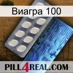 Виагра 100 34